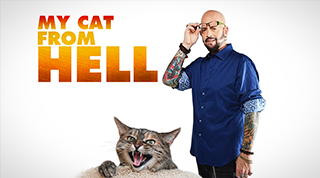 アニマルプラネット My Cat From Hell 邦題：猫ヘルパー～猫のしつけ教えます～