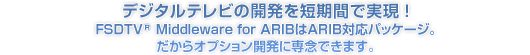 デジタルテレビの開発を短期間で実現!FSDTV Middleware for ARIB はARIB対応パッケージ。だからオプション開発に専念できます。