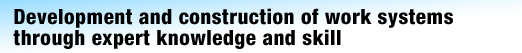 Development construction of work systems through expert knowledge and skill